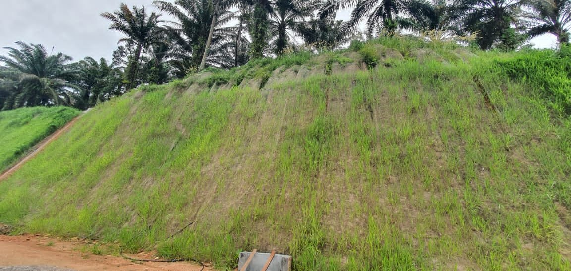 Hydroseeding