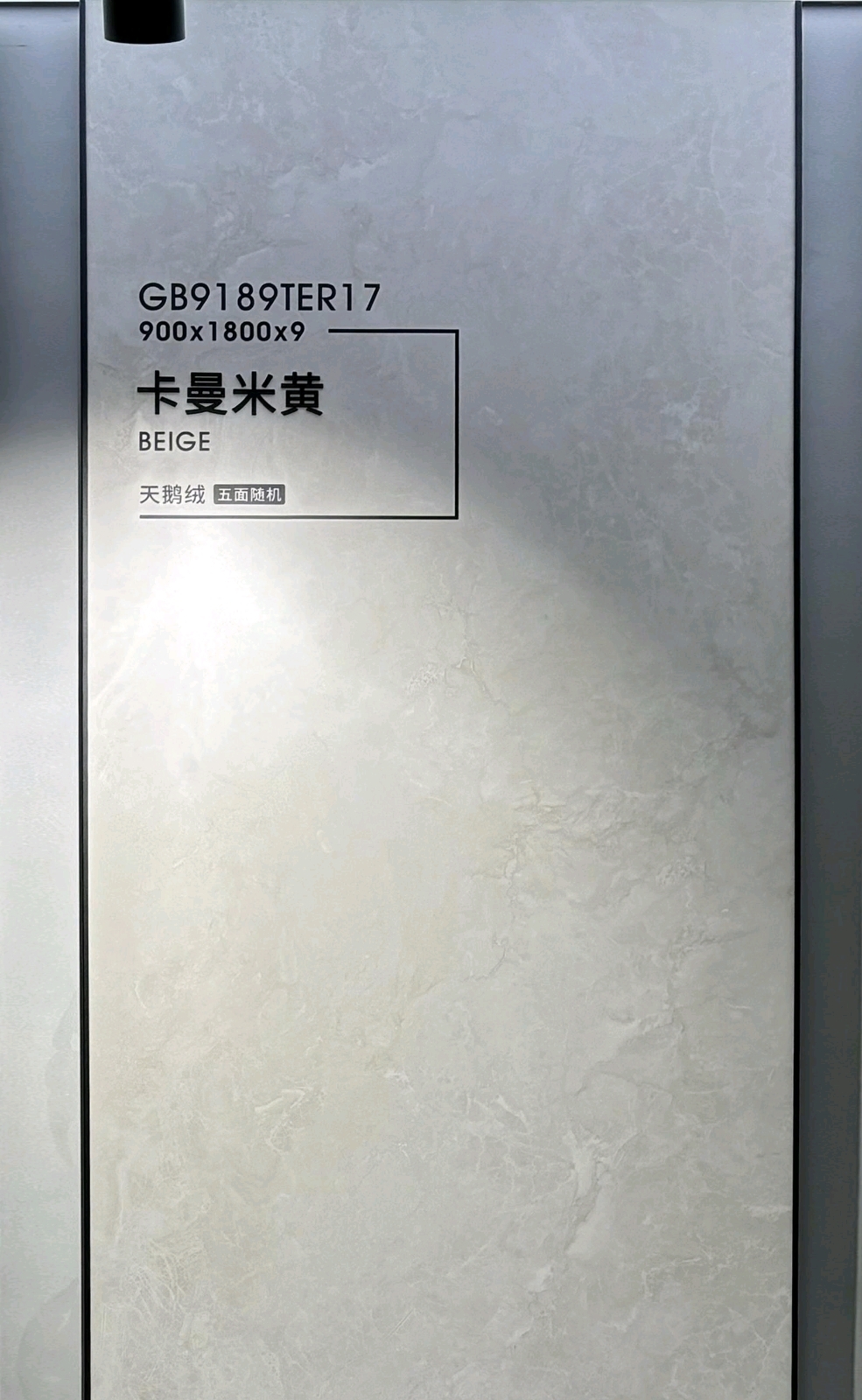 GB9189TER17 (900x1800x9mm)