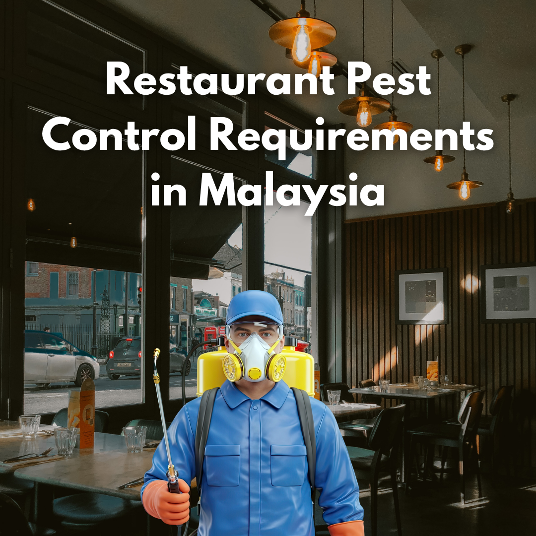 Restaurant Pest Control Requirements in Malaysia (2026 Guide)