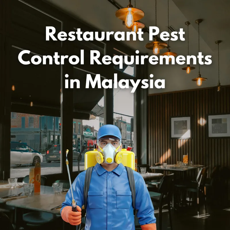 Restaurant Pest Control Requirements in Malaysia (2026 Guide)
