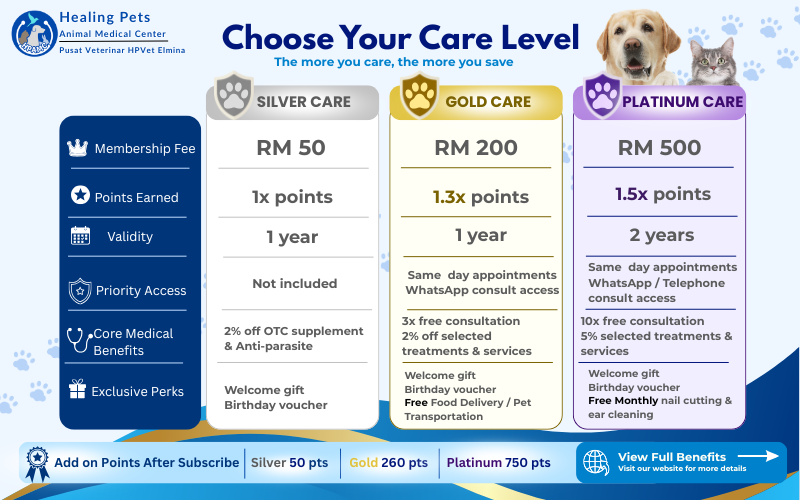 Choose Your Care Level Now!