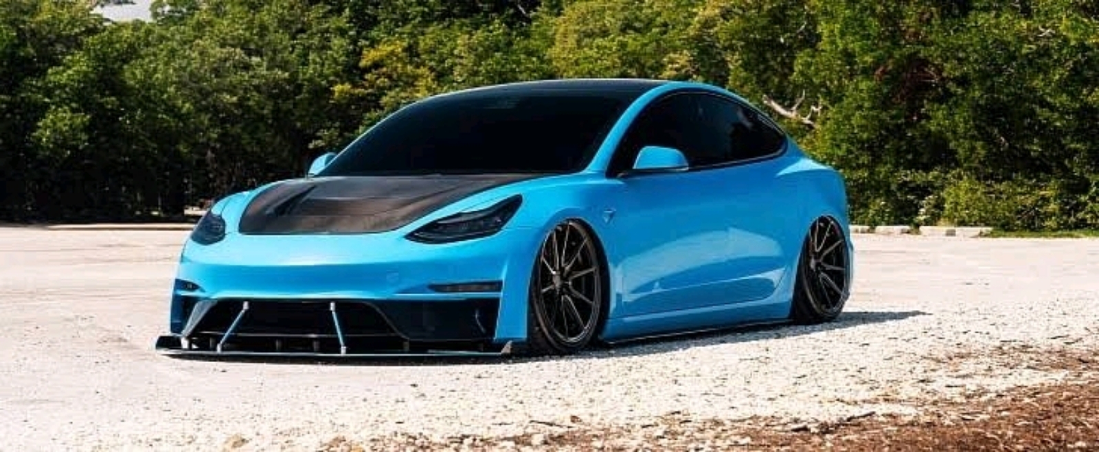 TESLA