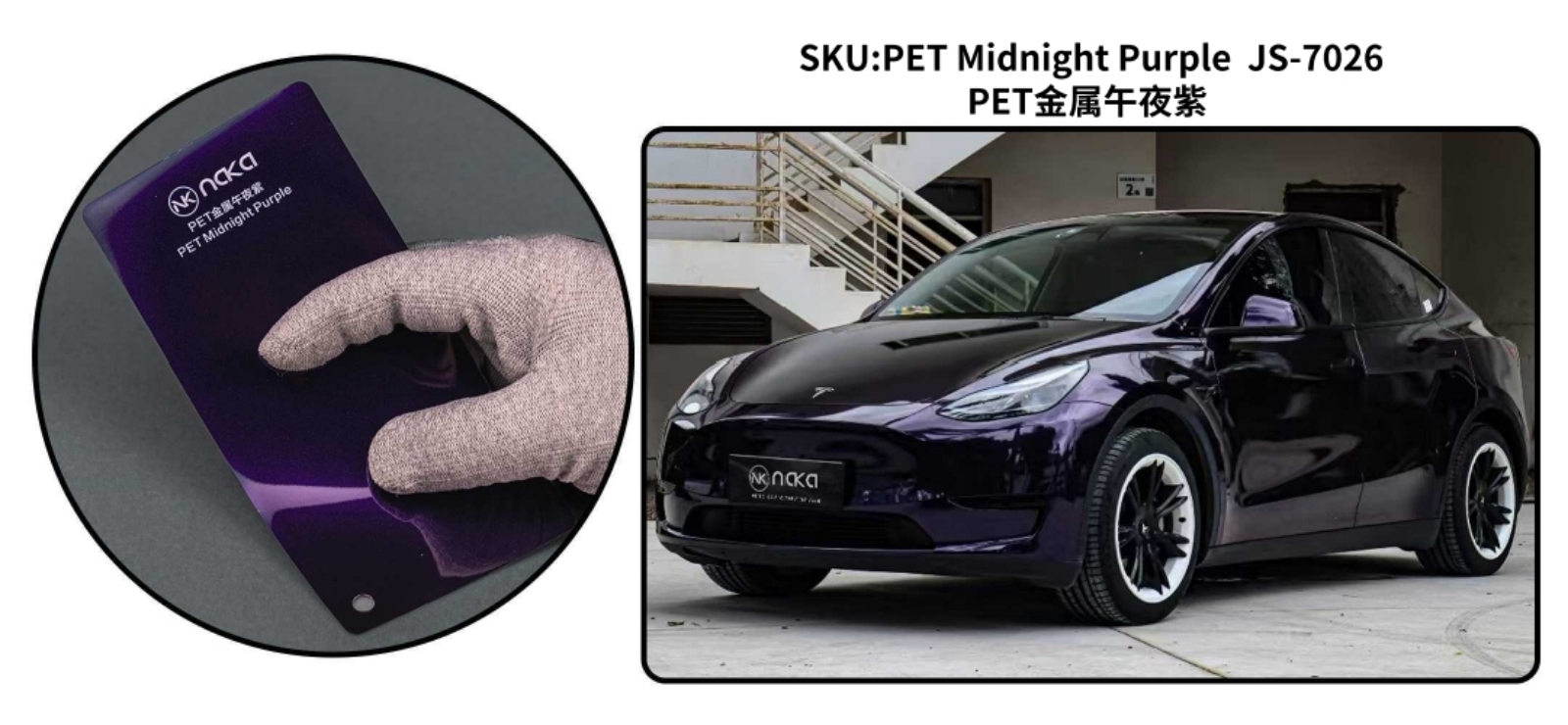 PET Midnight Purple