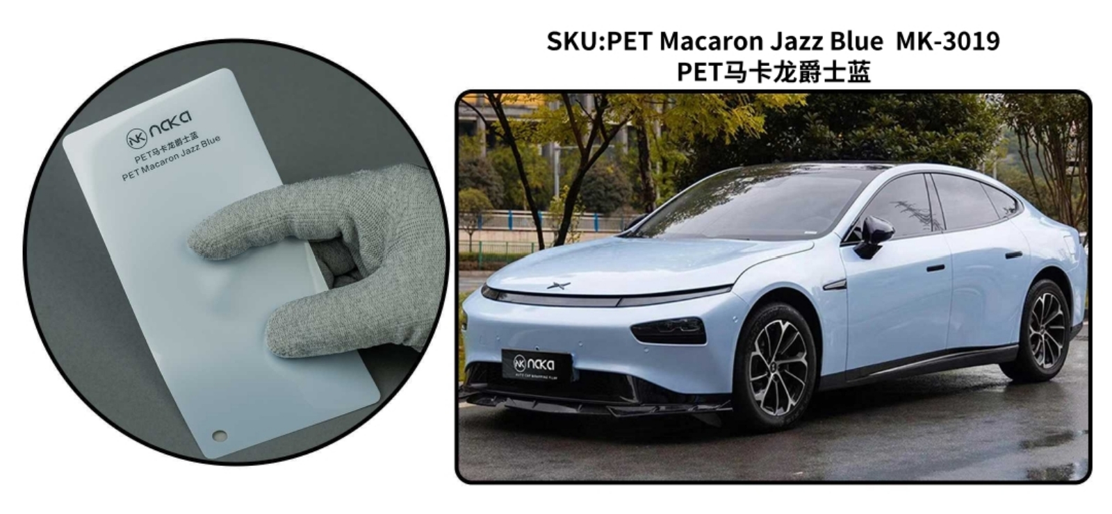 PET Macaron Jazz Blue