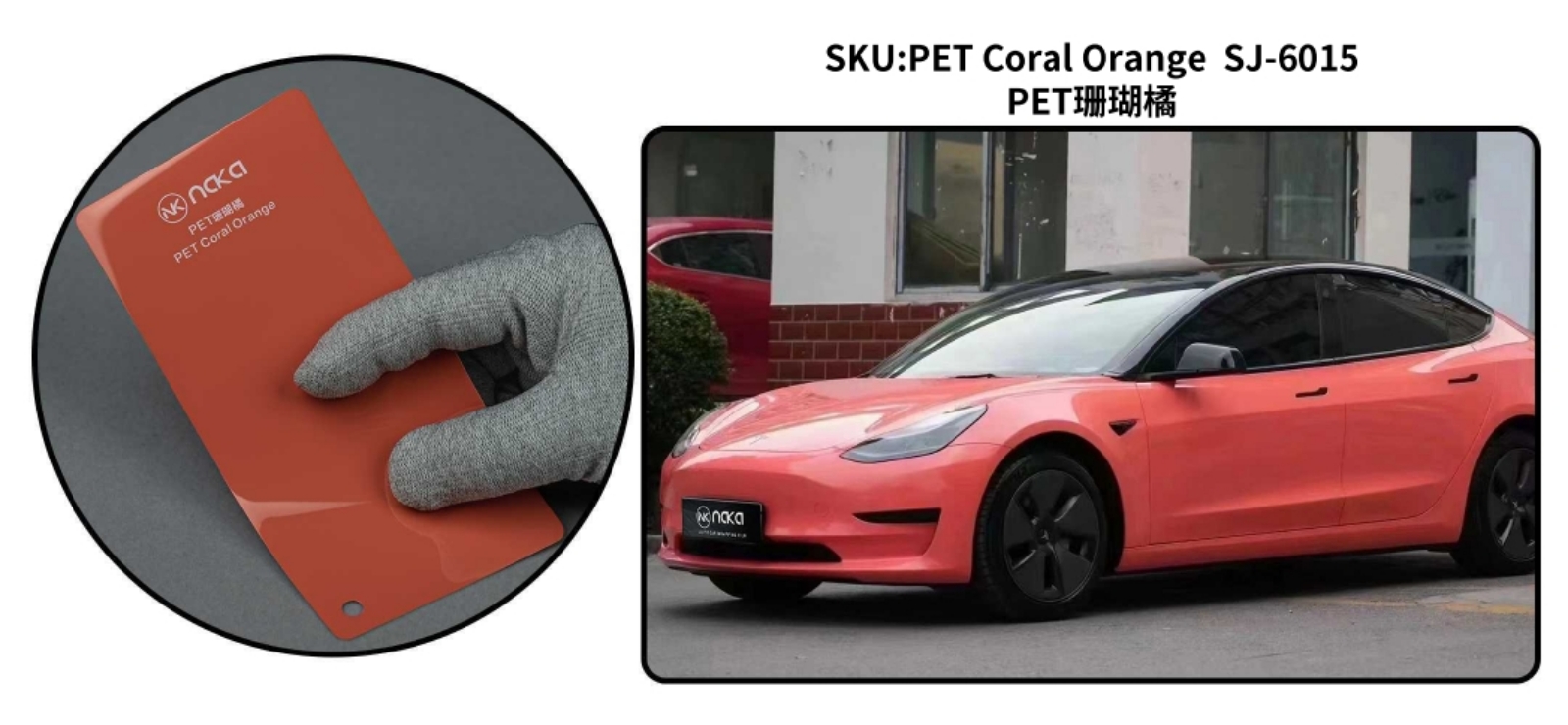 PET Coral Orange
