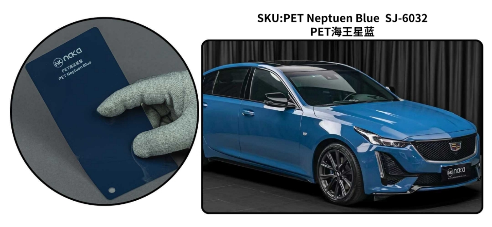 PET Neptuen Blue