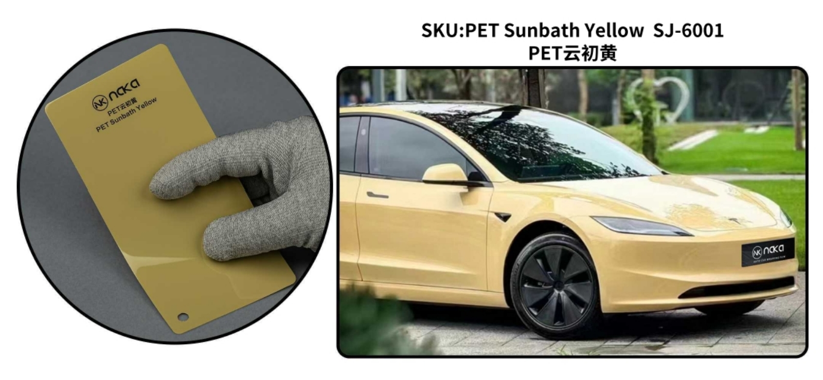 PET Sunbath Yellow