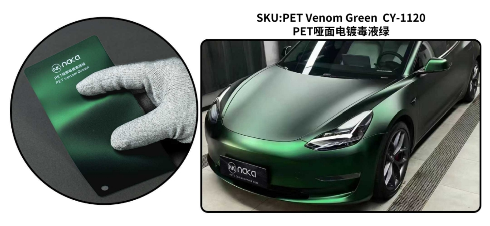 PET Venom Green