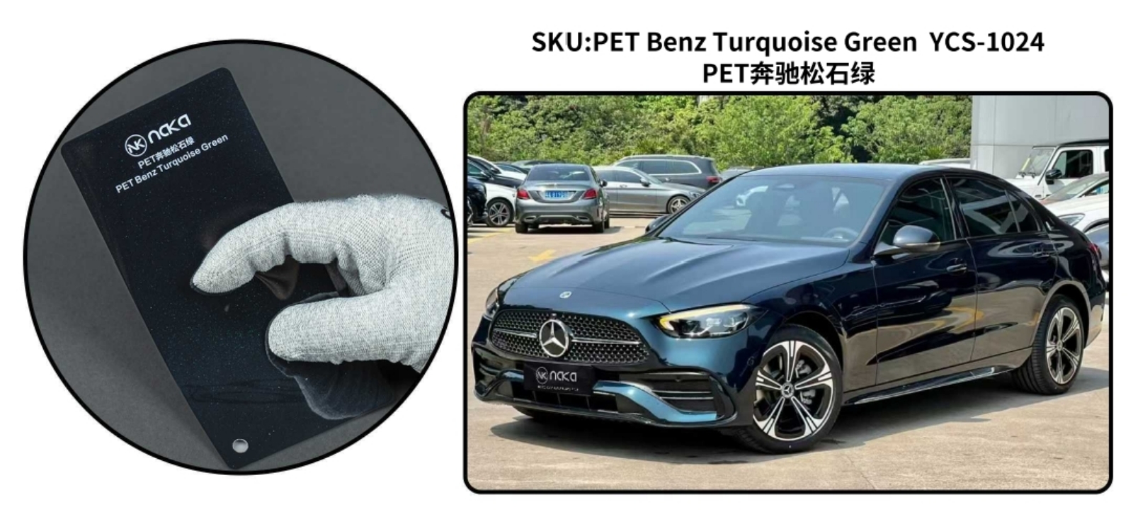PET Benz Turquoise Green