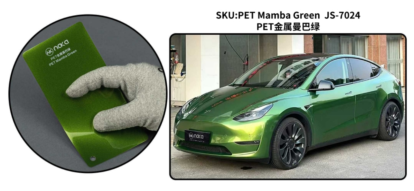PET Mamba Green