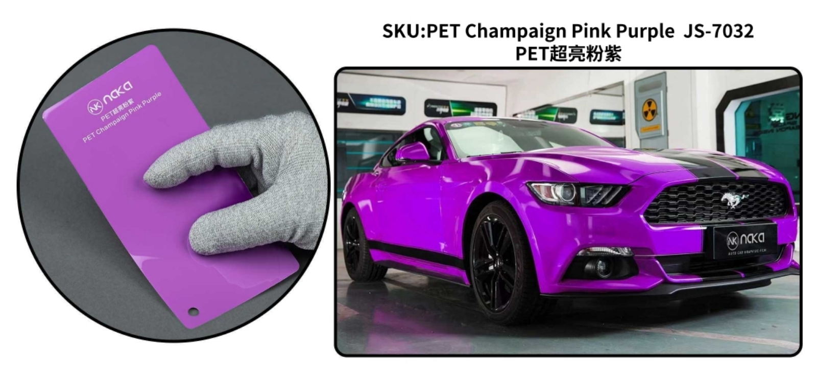 PET Champaign Pink Purple