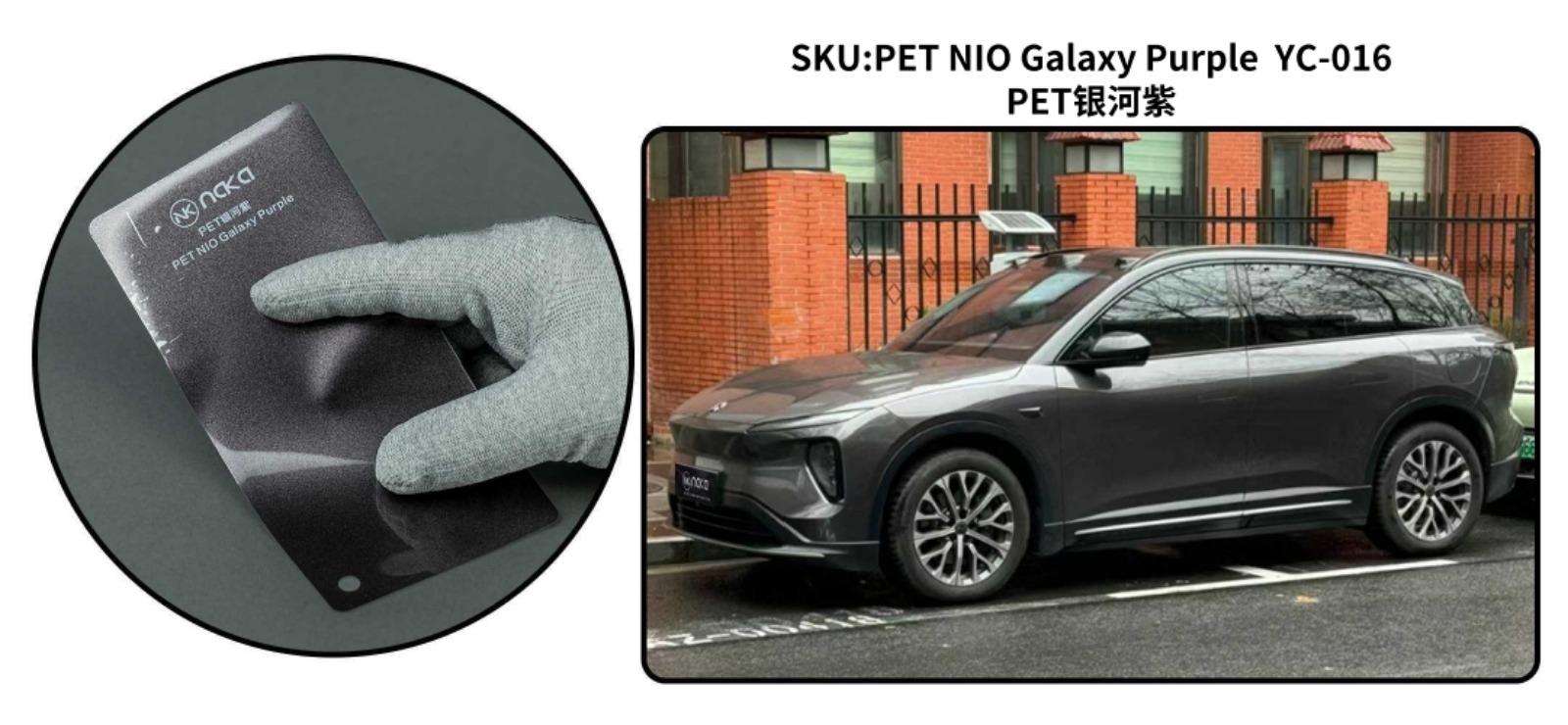 PET NIO Galaxy Purple