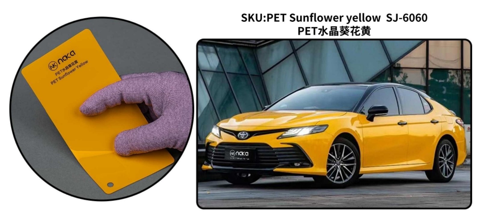 PET Sunflower Yellow