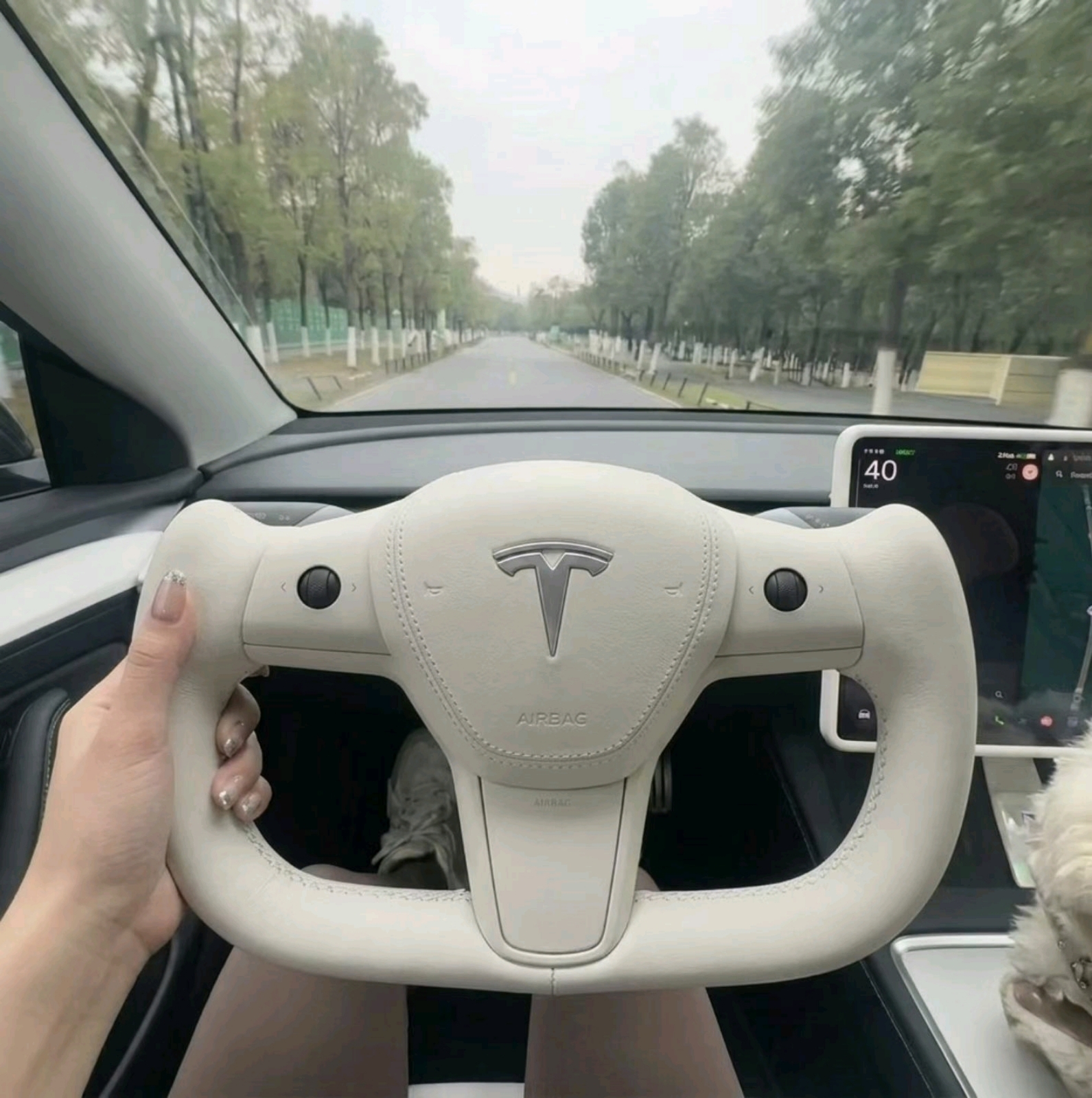 TESLA