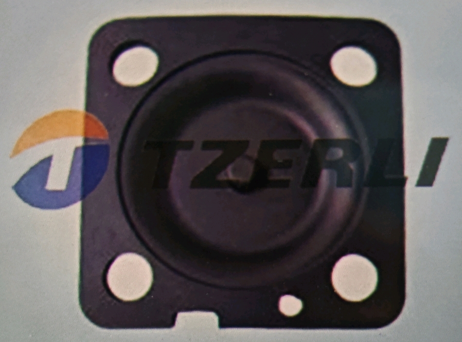 V21478207 DIAPHRAGM