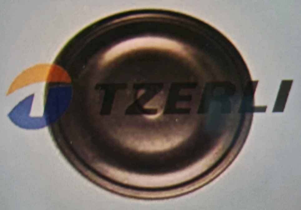 V383972 DIAPHRAGM