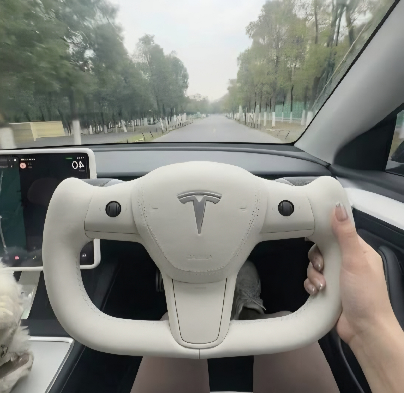 Tesla