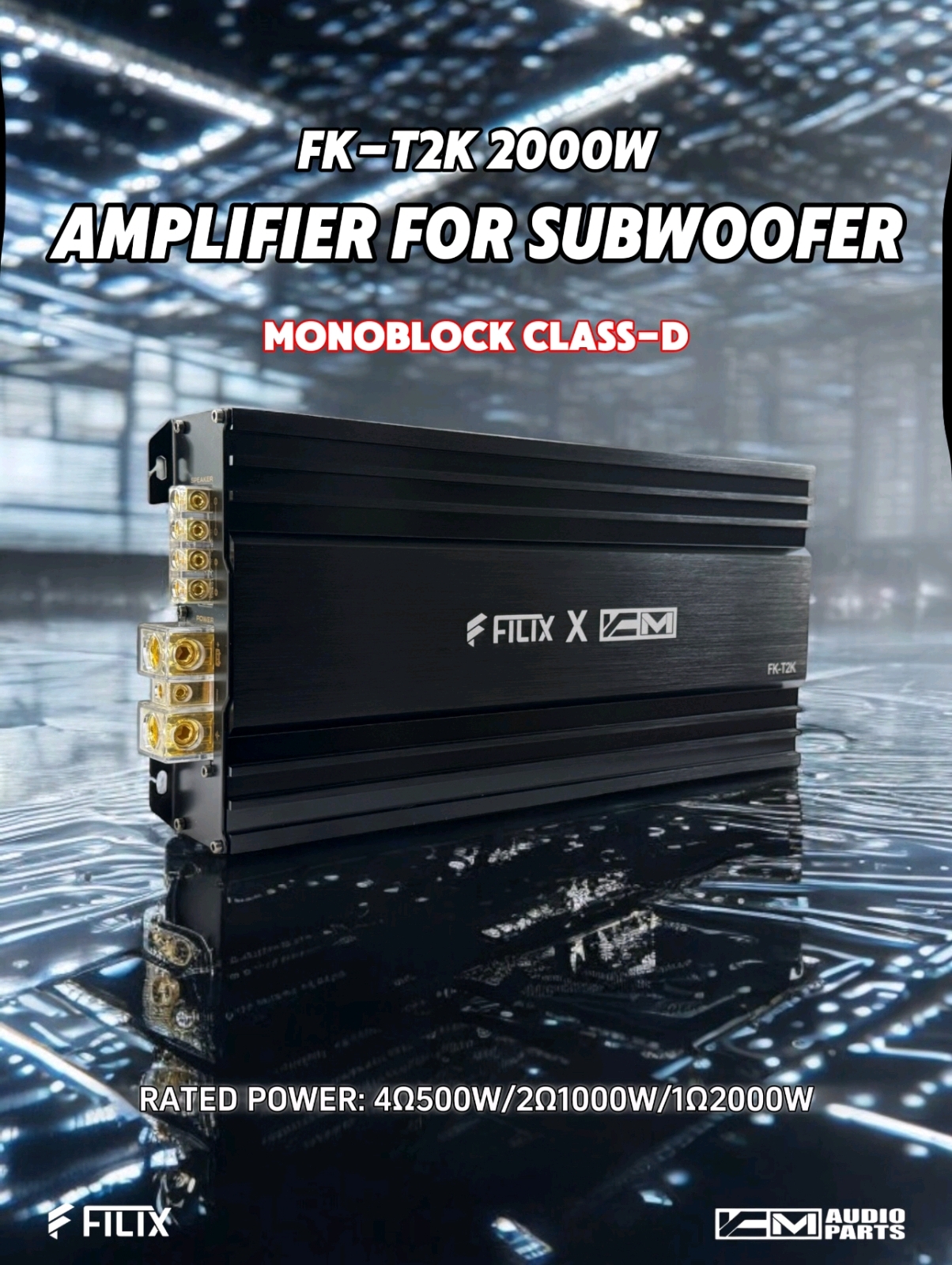 DSP Amplifier