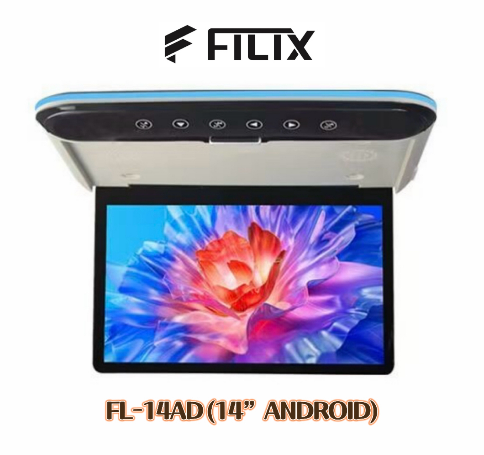 Filix