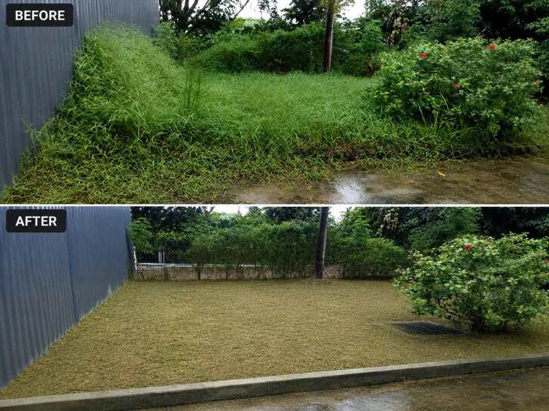 Lawn Maintenance Service - SILC Gelang Patah, Johor Bahru