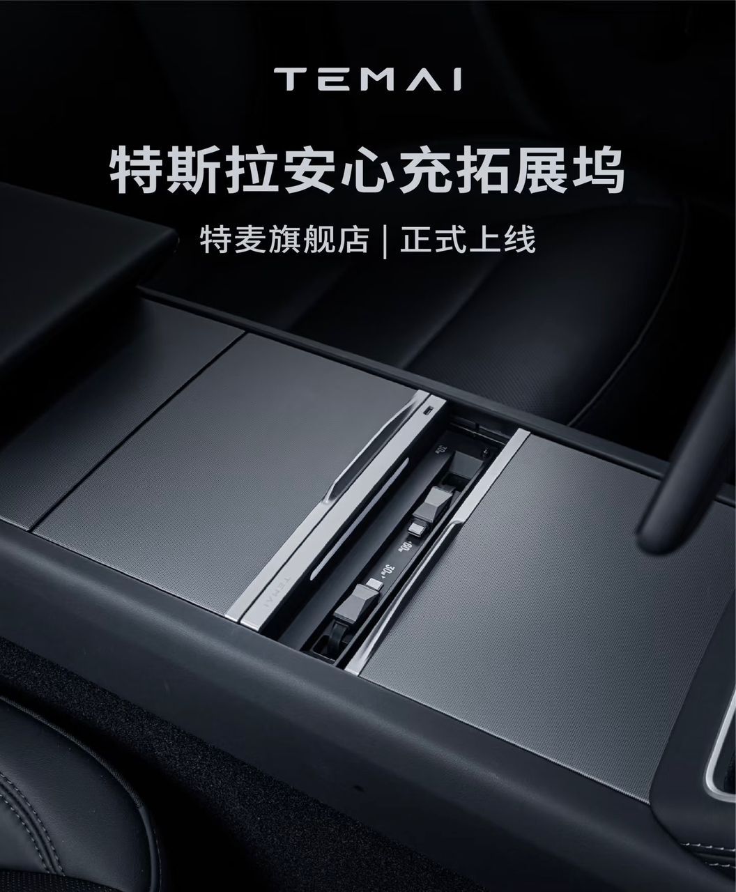 TEMAI Charging Dock