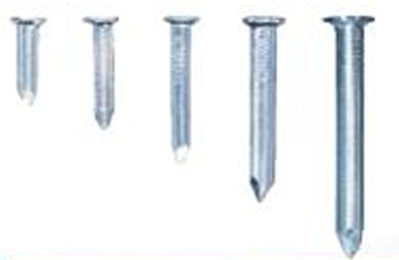 Nail (钉类产品) Product