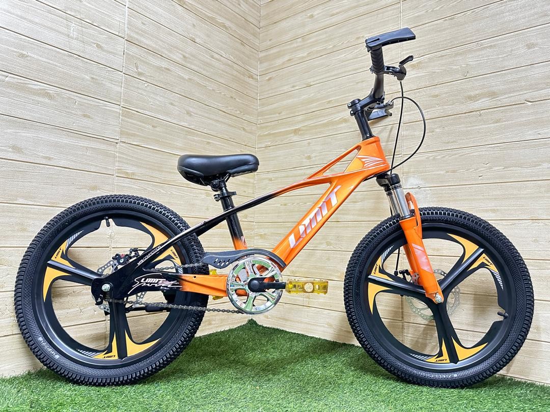 20" Kid Bike Disc Magnesium Limit 2088
