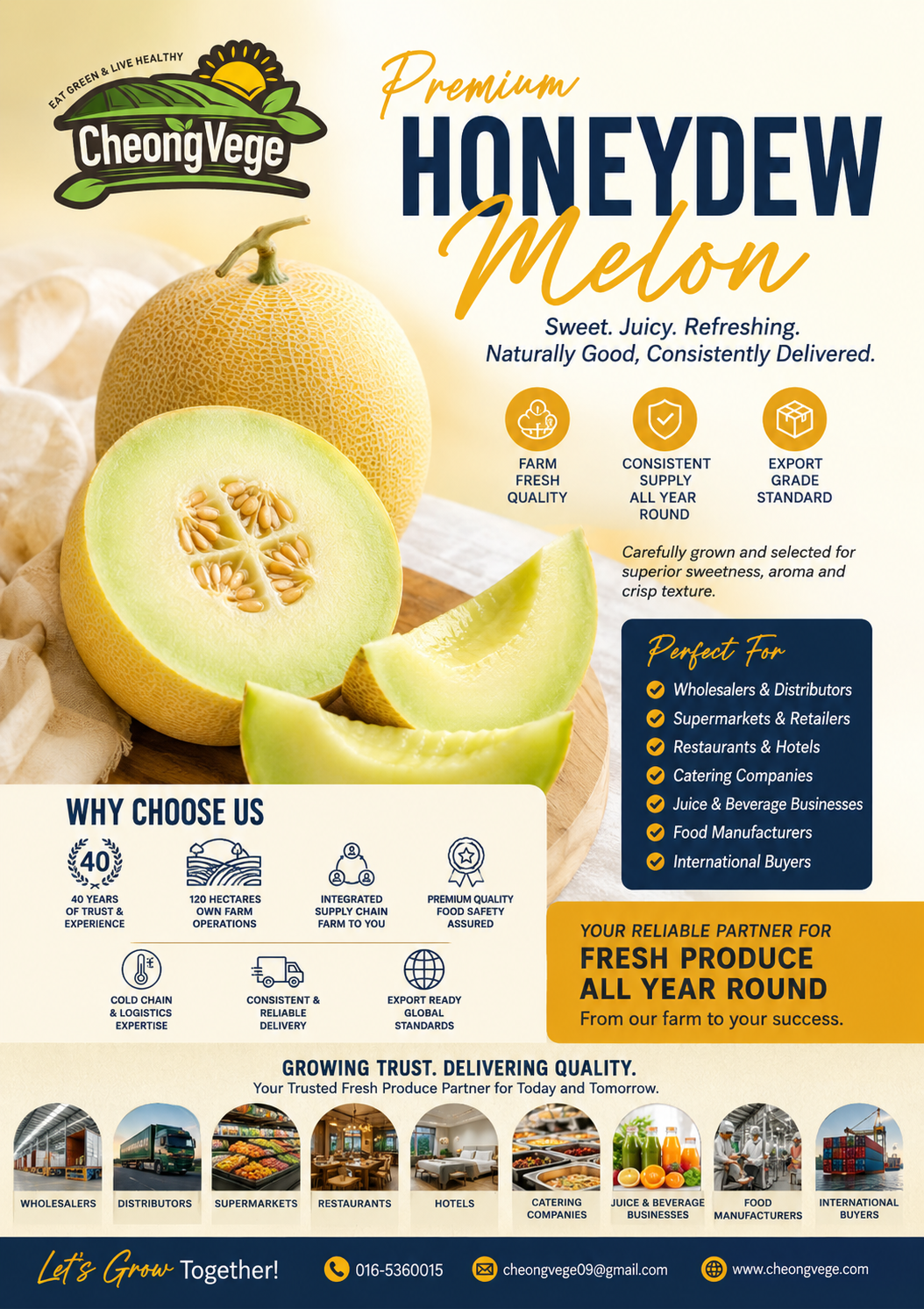Honeydew Melon Malaysia | Premium Fresh Melon Wholesale & Export Supplier | Cheong Vege