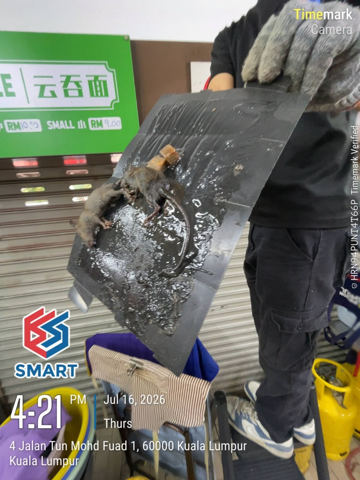 Petaling Jaya - Rats Treatment - Temper Resistant Bait Station