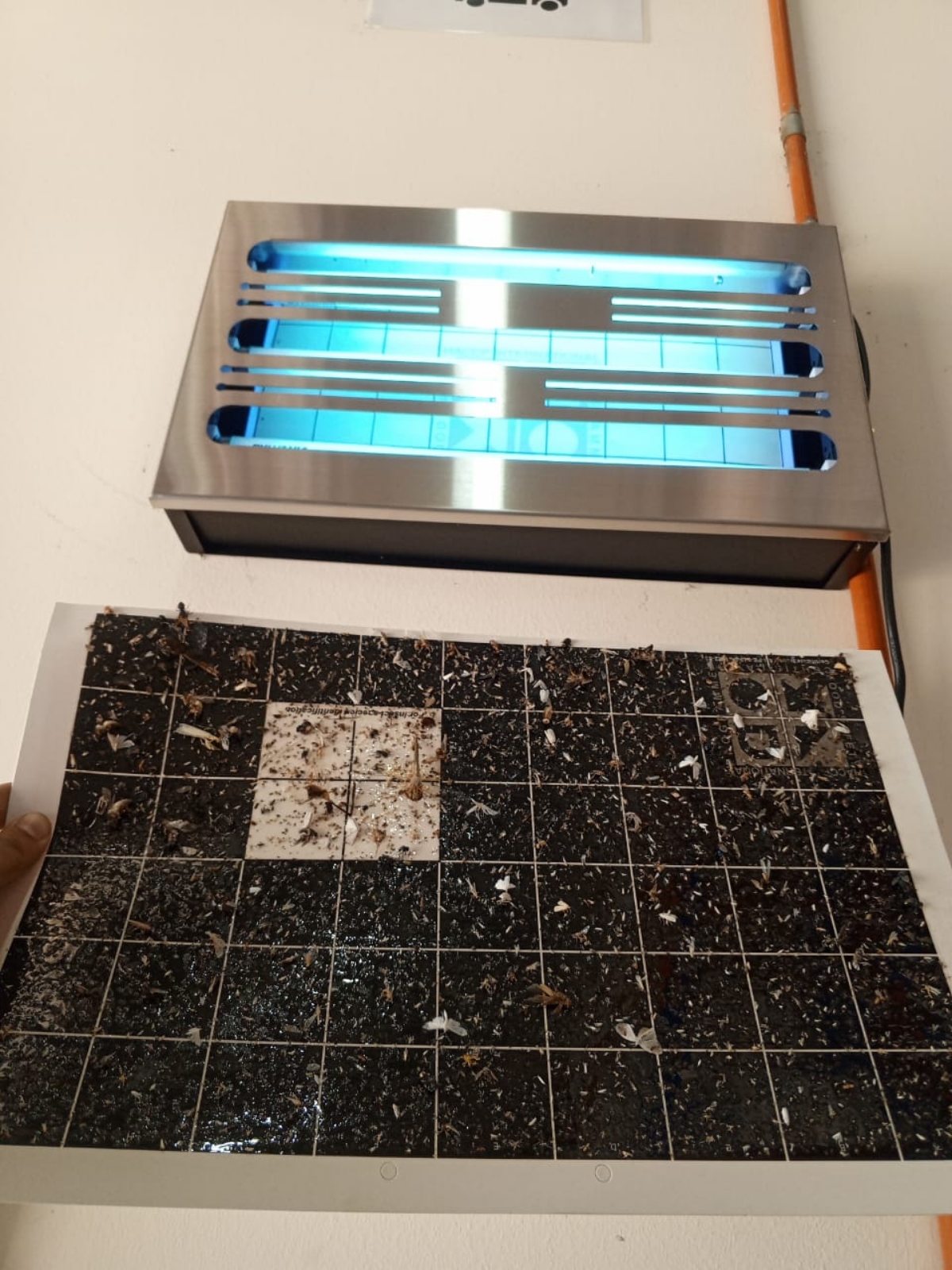 kitomo - Flies Machine - Flies Treatment - Semenyih Factory Pest Control