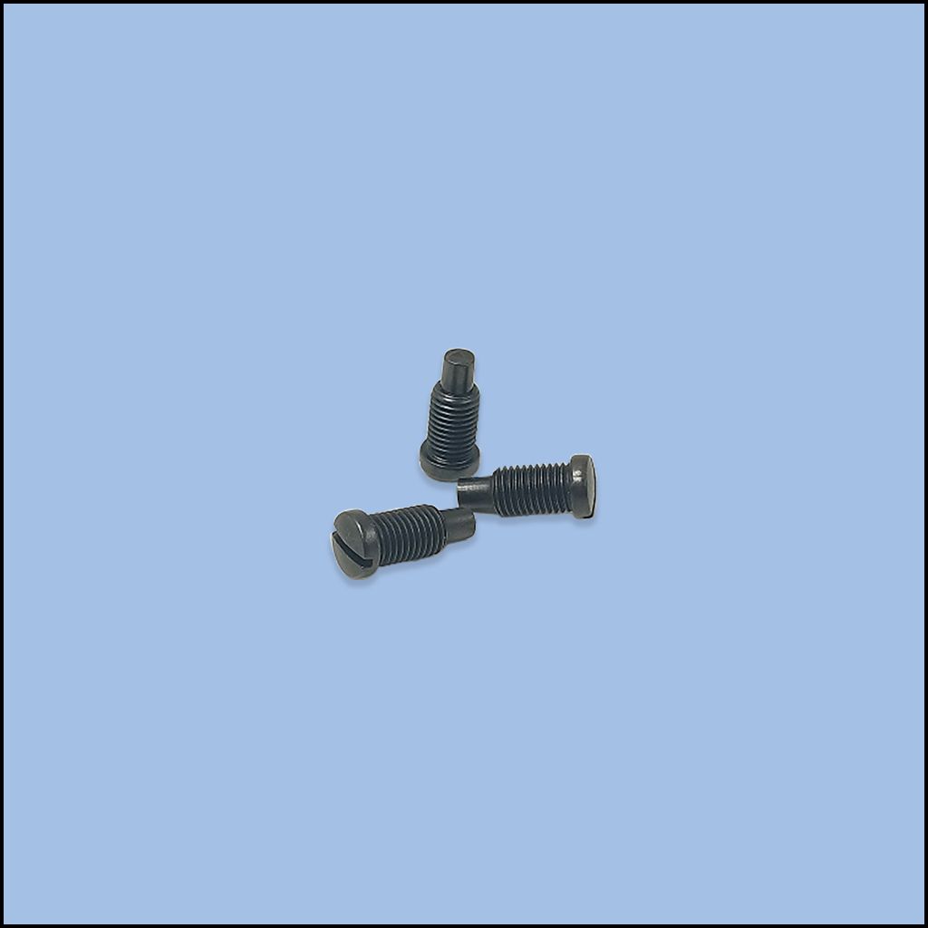 SCREW (101S11003)