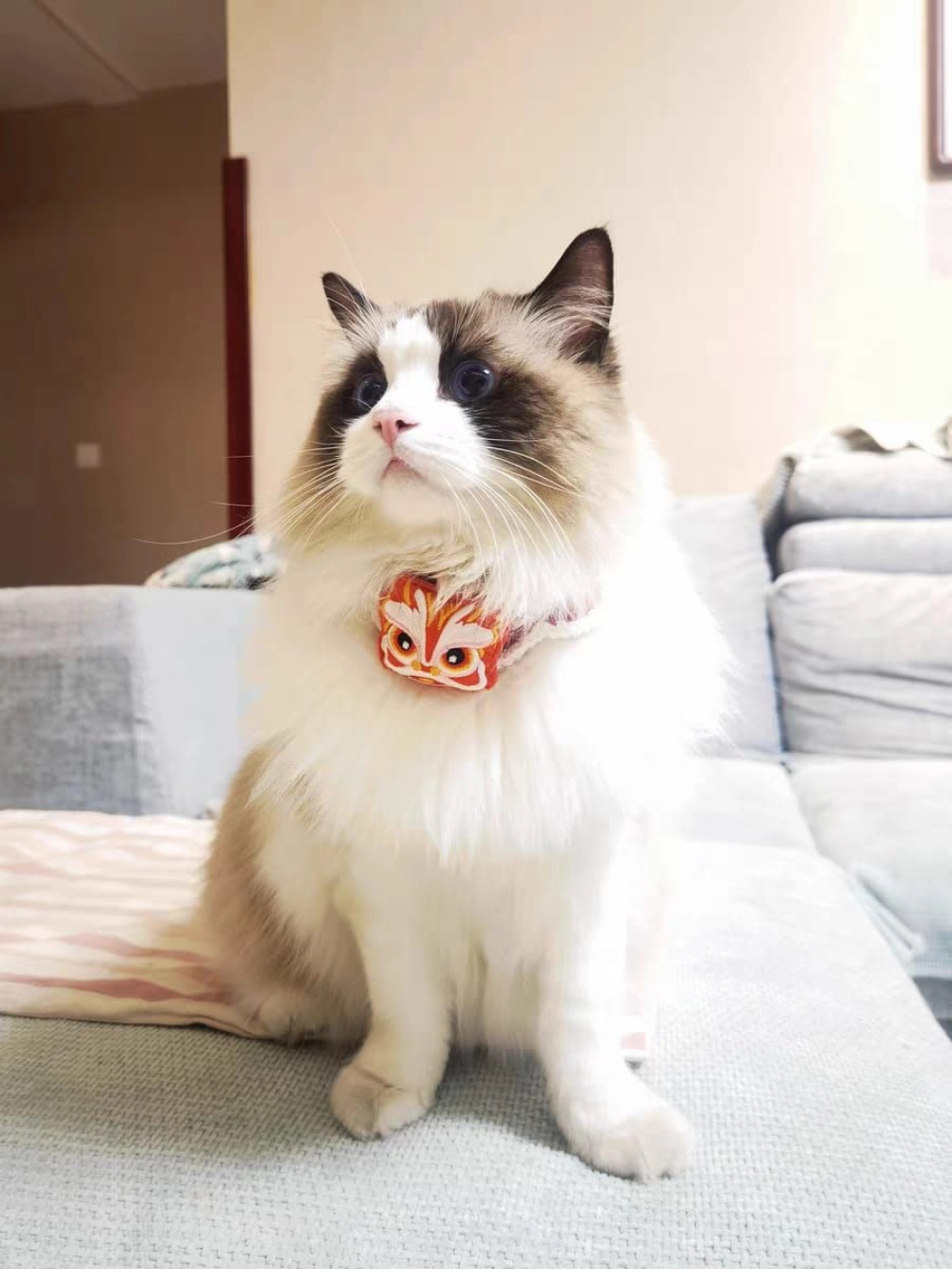 Pet Chinese New Year Knitted Scarf Pet Warm Collar Dog CNY Scarf Collar Pet Scarf 宠物狗狗猫咪项圈新年围脖针织围巾 宠物新年围巾