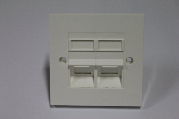 Double Port Faceplate 45degree Network Accessories Networking Products Bukit Mertajam  | Masstech Solutions Sdn Bhd