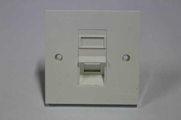 Single Port Faceplate 45degree Network Accessories Networking Products Bukit Mertajam  | Masstech Solutions Sdn Bhd