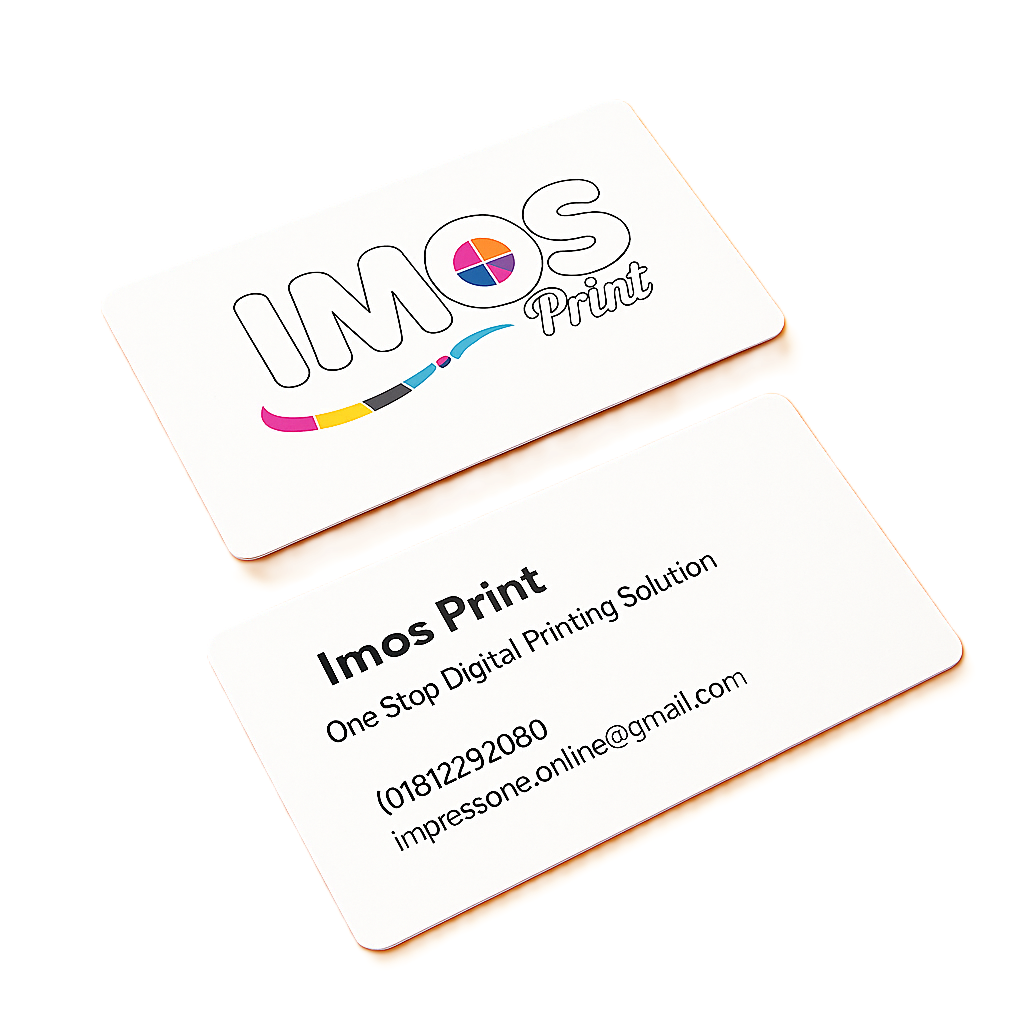 Professional Business Card