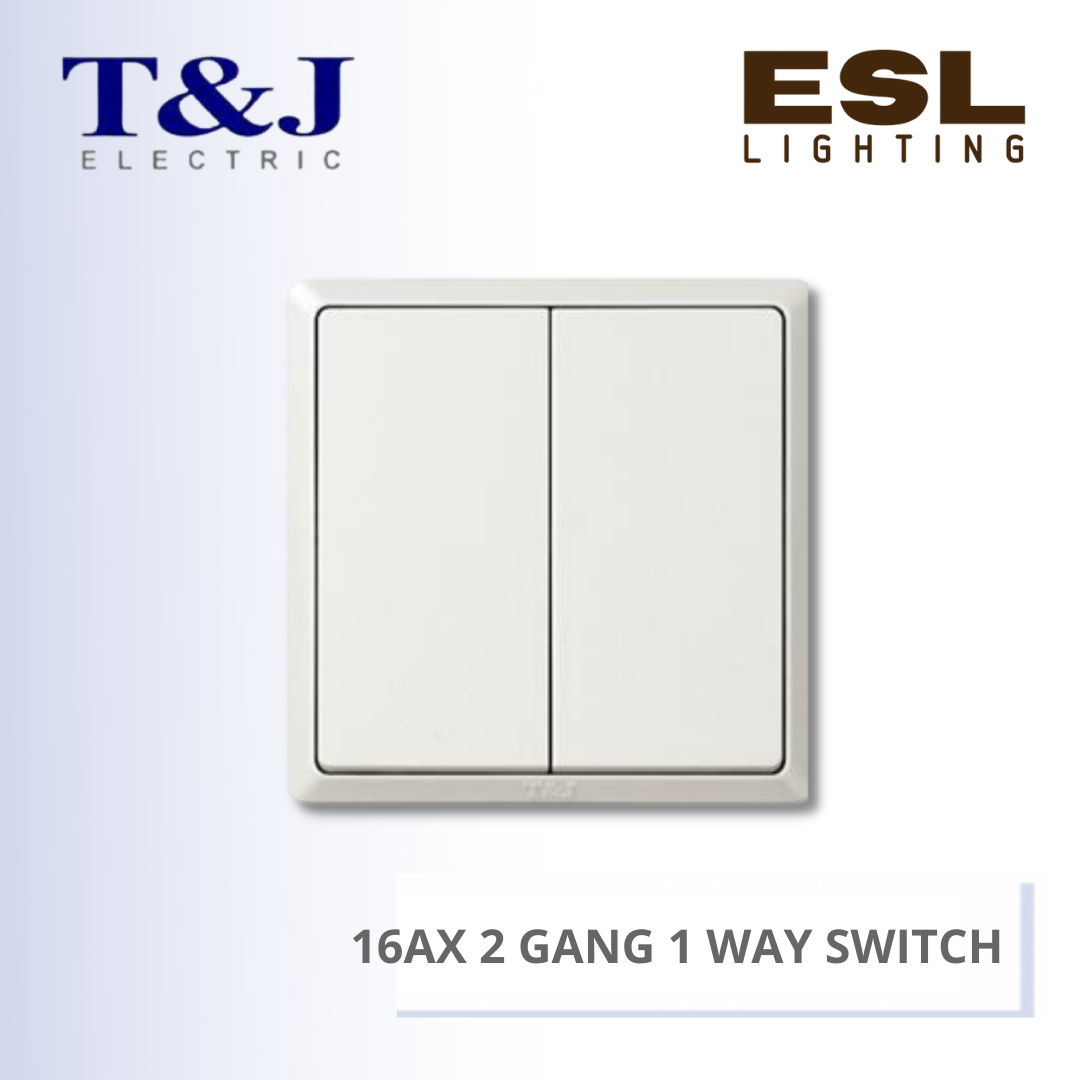 T&J SWITCHES INFINIT SERIES 16AX 2 GANG 1 WAY SWITCH - HC2712 HC2712-SBL HC2712-MSB HC2712-PS7 HC2712-ST5