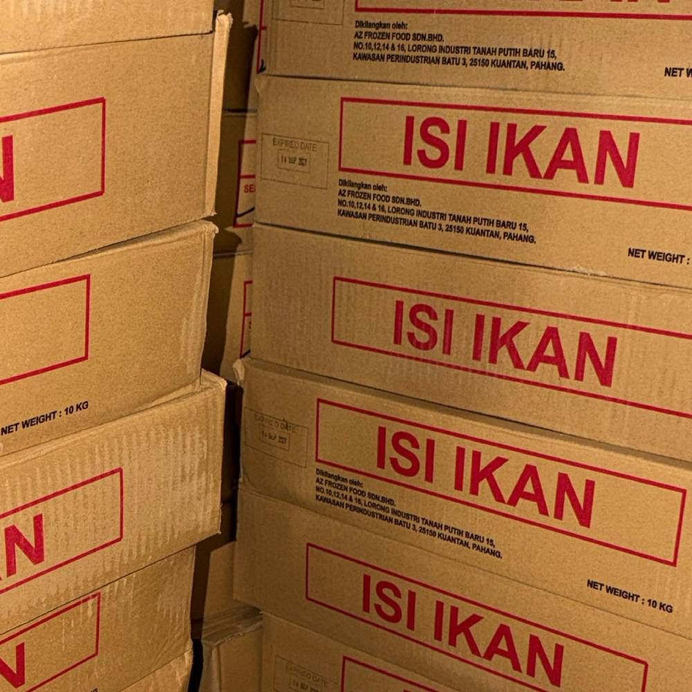 Frozen Isi Ikan