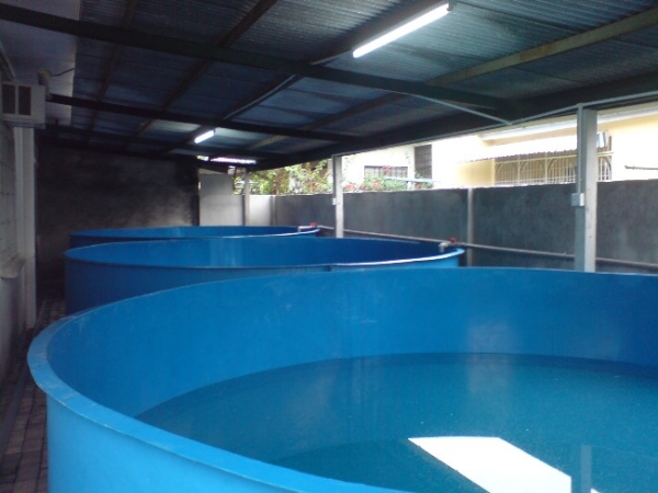 FRP FISH TANK FRP Tanks, Clarifiers   FRP Mould Products, Clarifier Tanks | Tropical Green Engineering Sdn Bhd