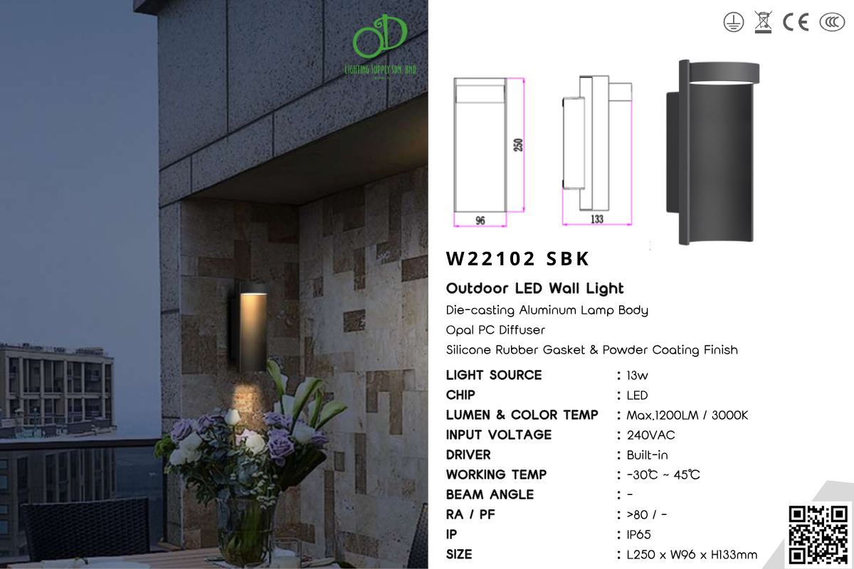 Outdoor Wall Light (W21102)