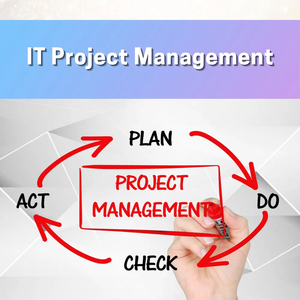 IT Project Management