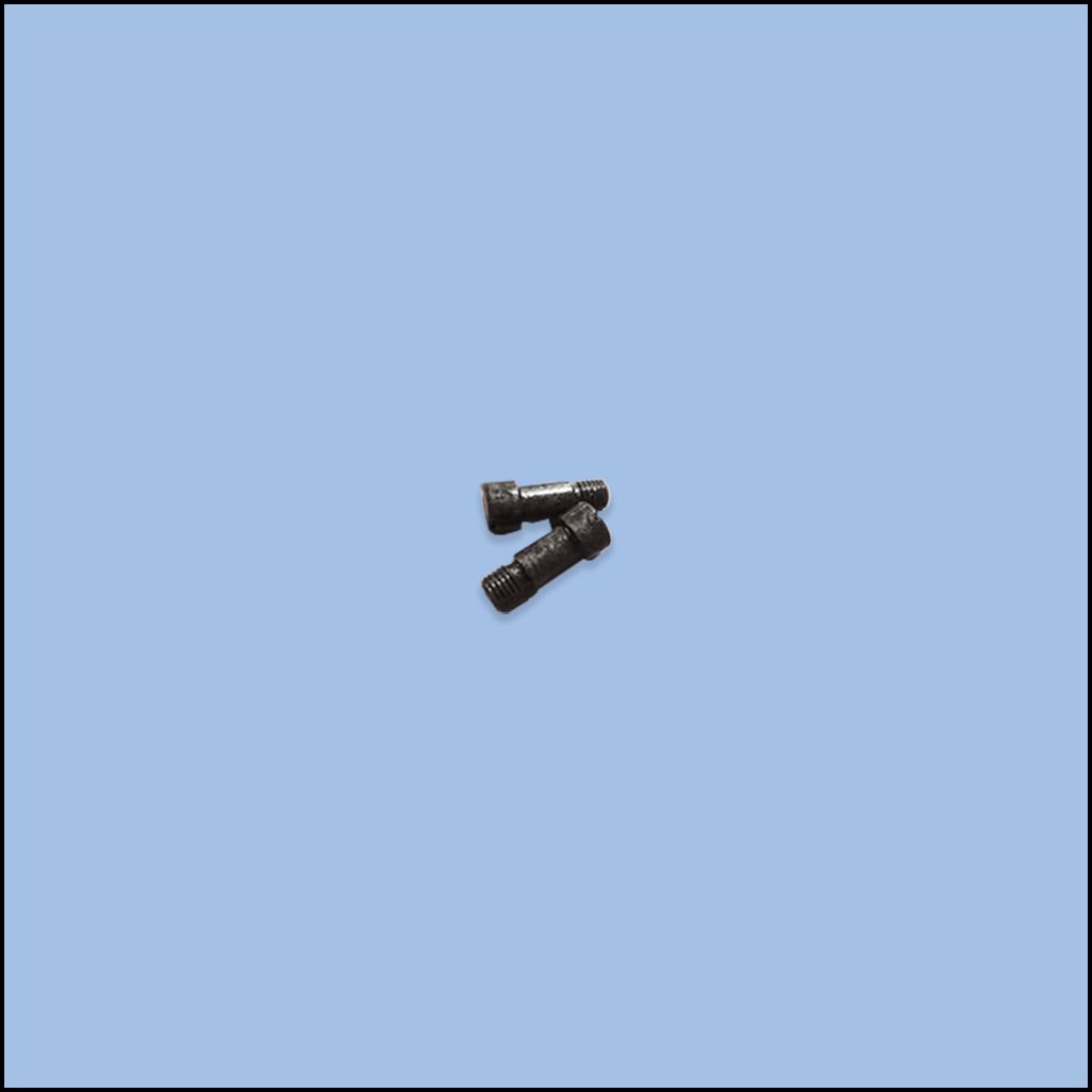 SCREW (84-3720-0)