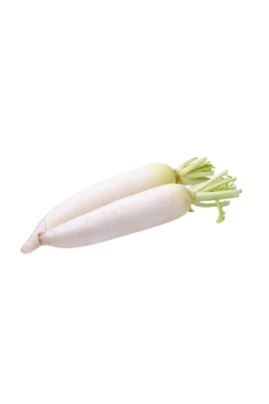 Radish