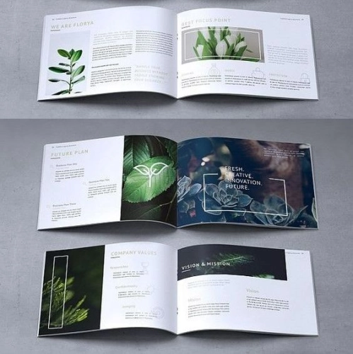 Branding Design and Booklet Printing