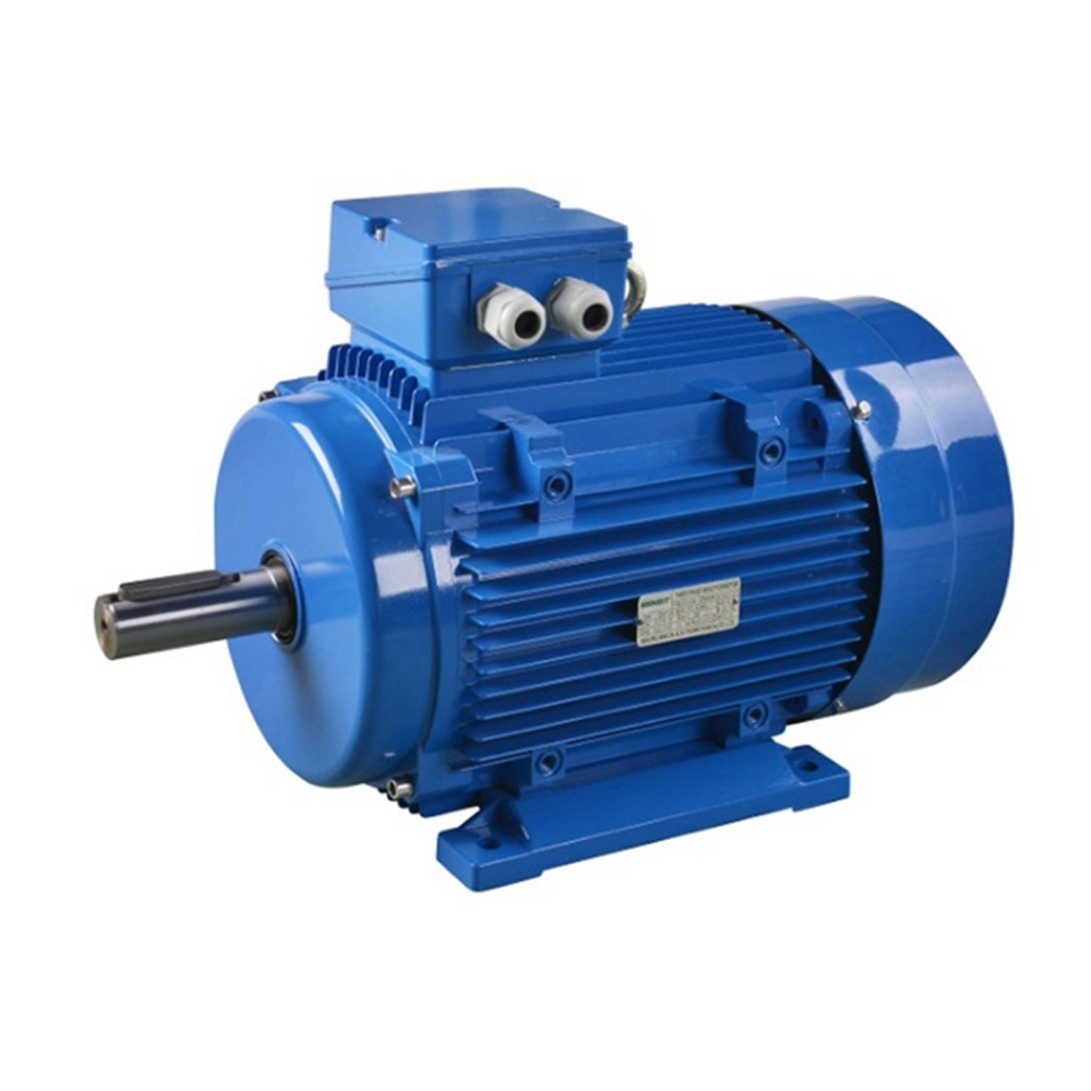 Electric Motor