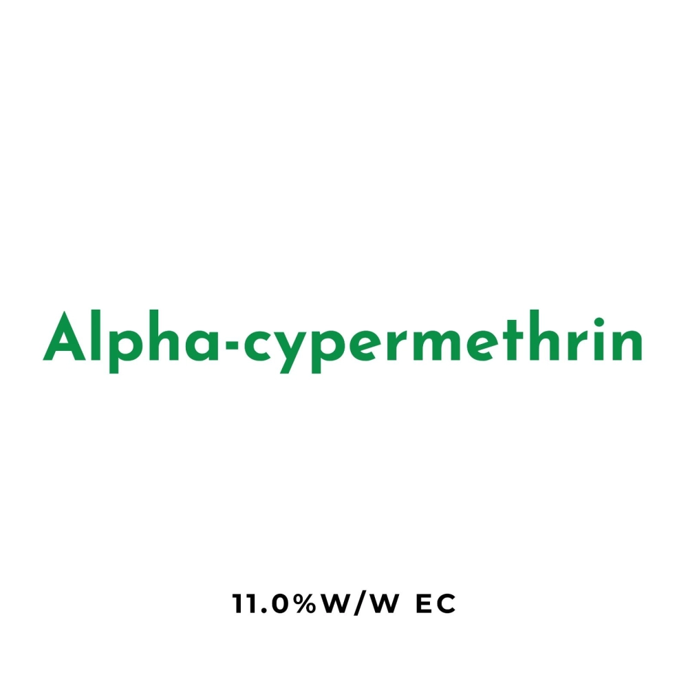 Alpha-cypermethrin 11.0% w/w EC