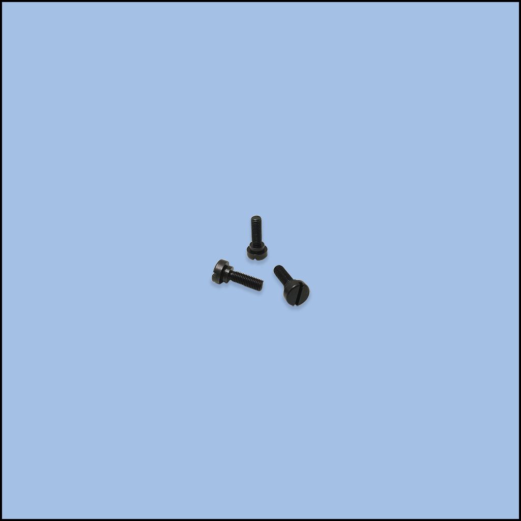 SCREW (141S20002)