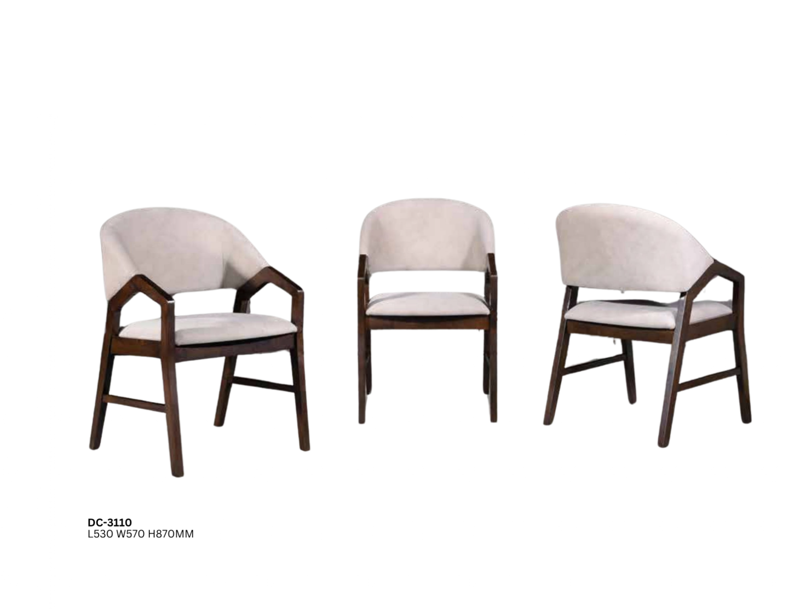 DINING CHAIR (PLZ DC-3110)