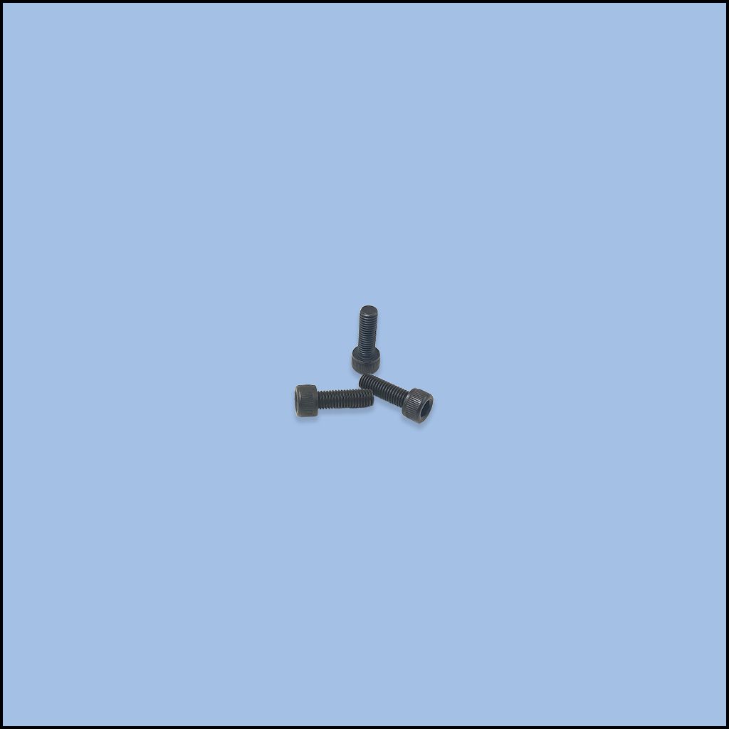 SCREW (135S13002)
