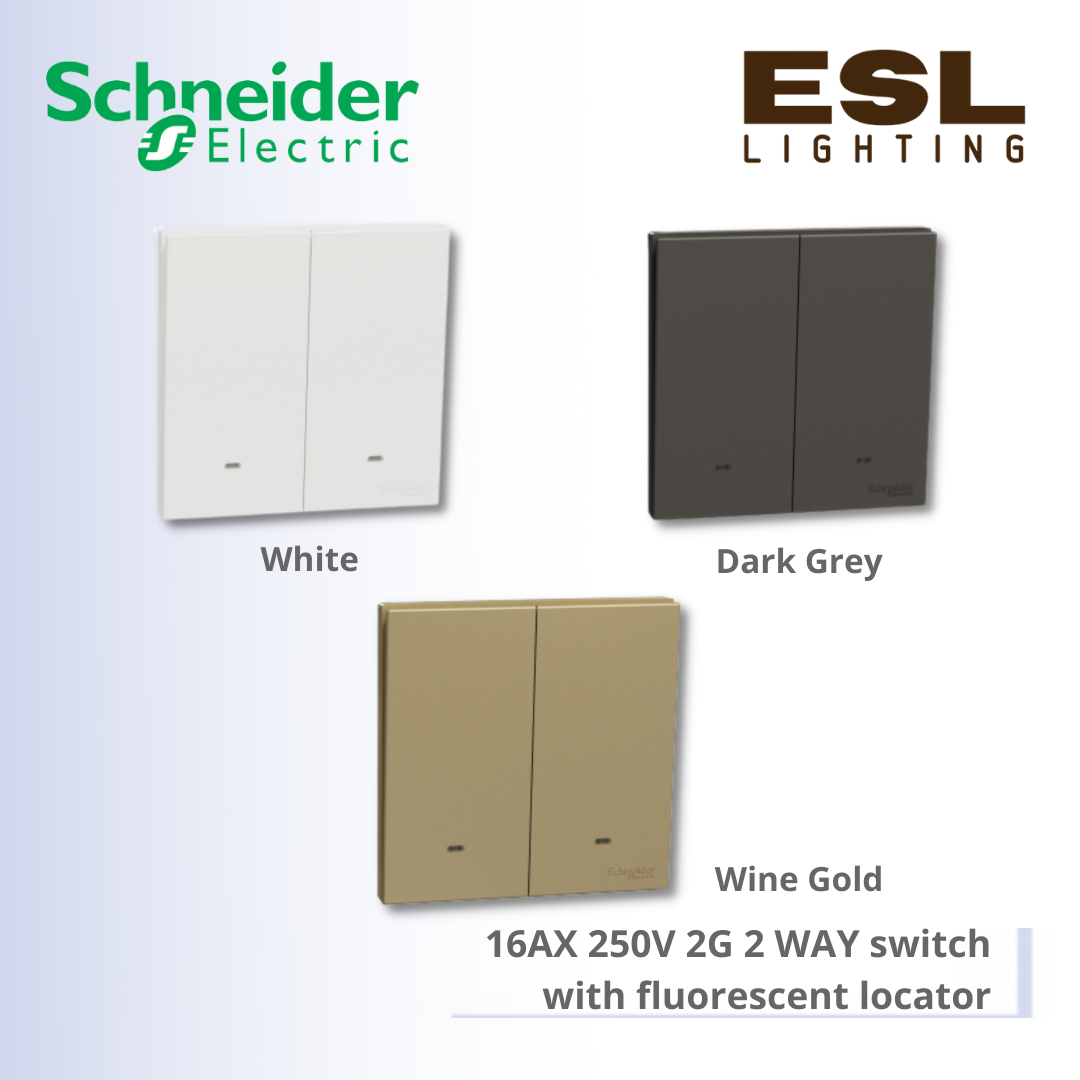 SCHNEIDER AvatarOn C 16AX 250V 2 Gang 2 Way switch with fluorescent locator - E8732L2F_WE_G11 E8732L2F_WG_G11 E8732L2F_DG_G11