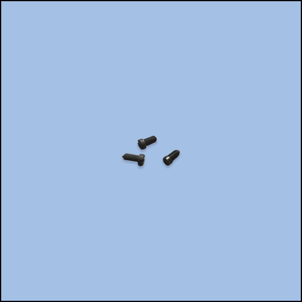 SCREW (84-3660-0)